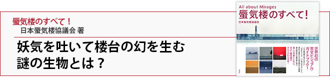 ŵǤϰθʪȤϡ