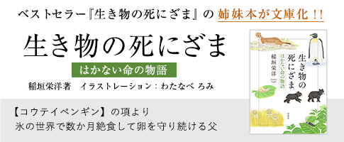 生き物の死にざま　はかない命の物語